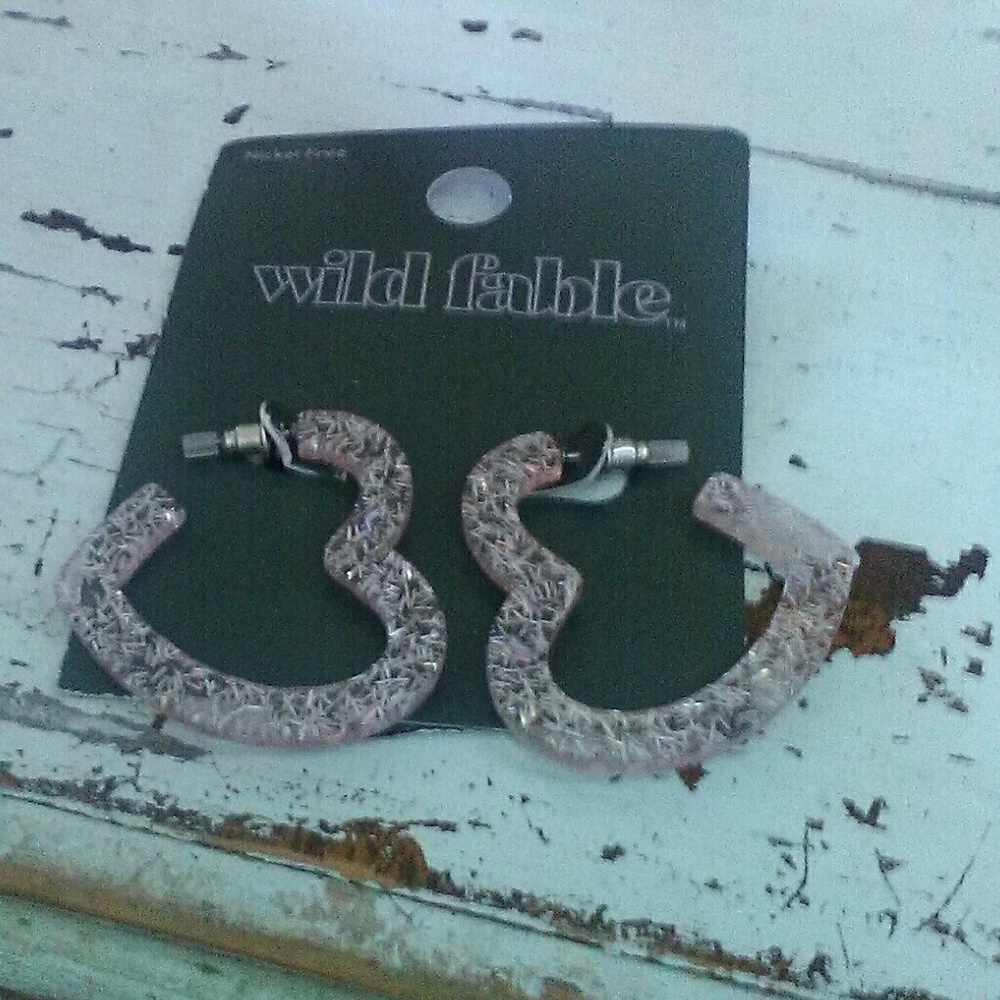 Beautiful heart shaped earrings by wild fable